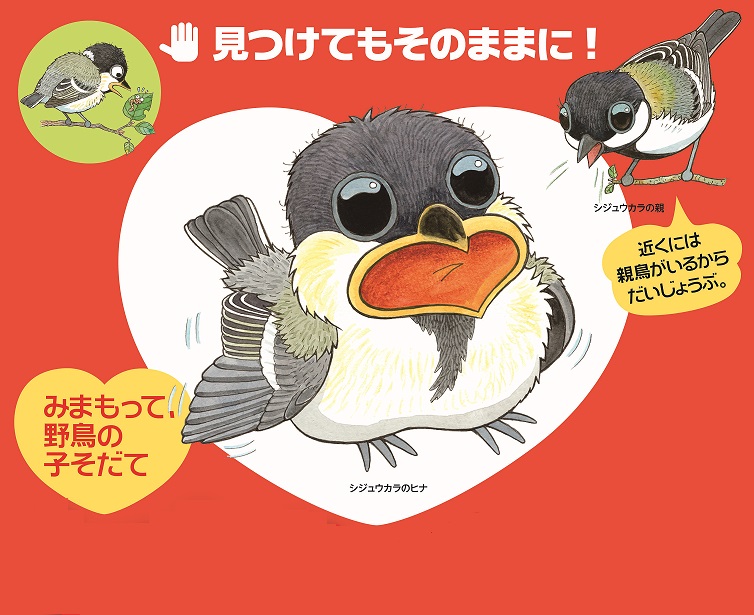 [環境省]野生の鳥や動物について